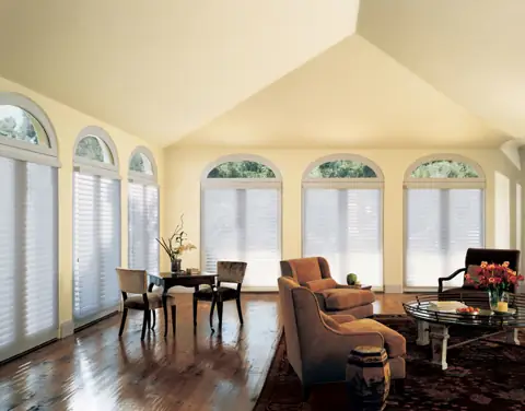 Window Shadings photo 23 of 34